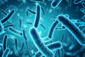 Bakterie Bacillus w rolnictwie