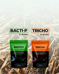 ALT resztki po kukurydzy jesienią - biologiczne wsparcie gleby 